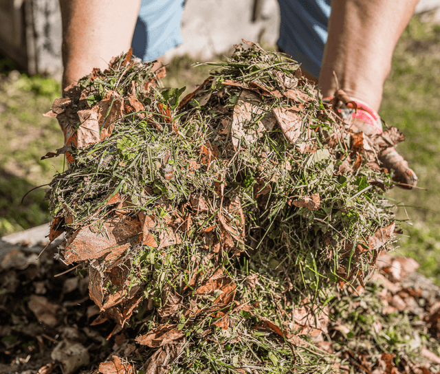 Green Waste