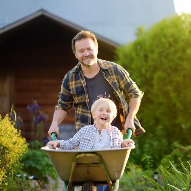 Five tips for your next spring clean up